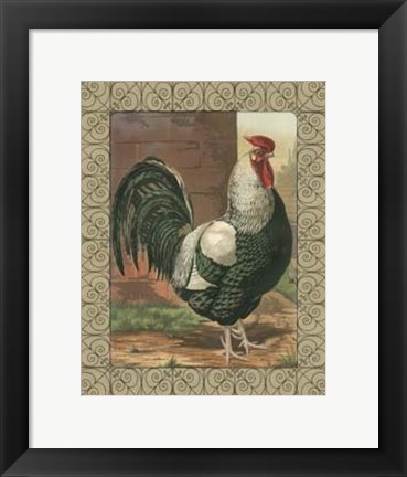 Framed Cassell&#39;s Roosters with Border IV Print