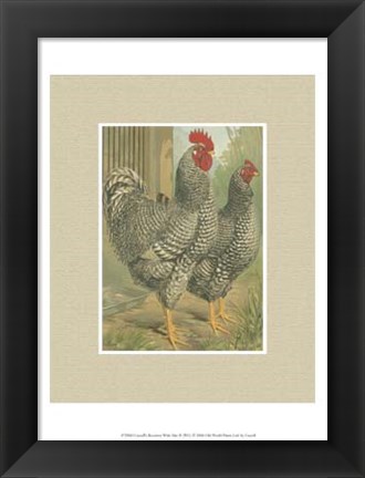 Framed Cassell&#39;s Roosters with Mat II Print