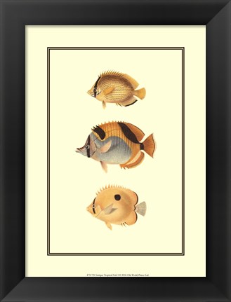 Framed Antique Tropical Fish I Print