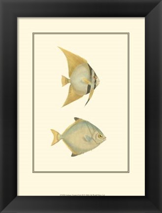 Framed Antique Tropical Fish III Print