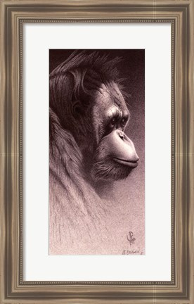 Framed Jo-Jo, the Orangutan Print