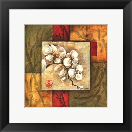 Framed Asian Orchid Montage II Print