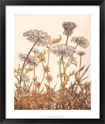 Framed Field of Lace I Print