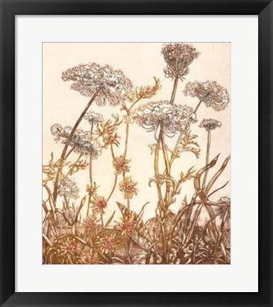 Framed Field of Lace I Print