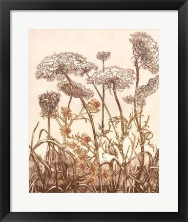 Framed Field of Lace II Print