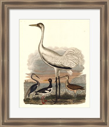 Framed Heron Family III Print