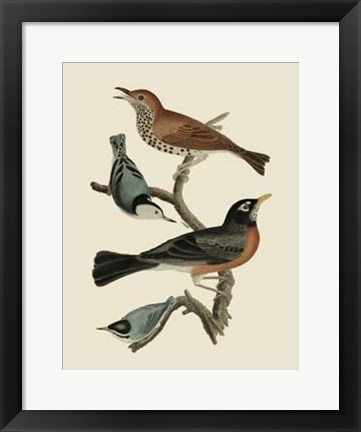 Framed Bird Family I Print