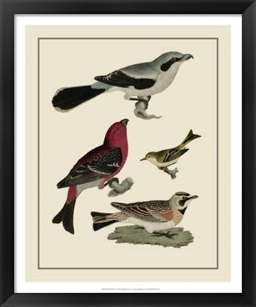 Framed Bird Family II Print