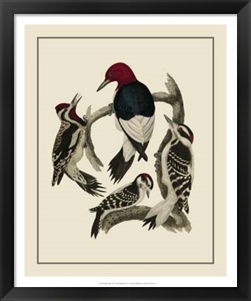 Framed Bird Family III Print