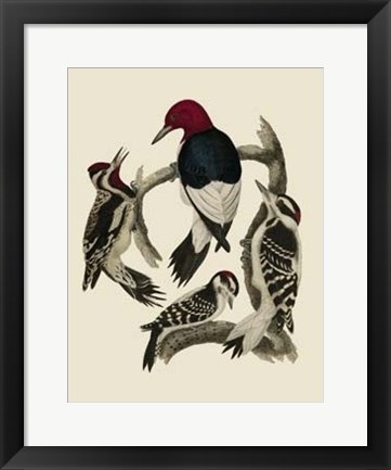 Framed Bird Family III Print