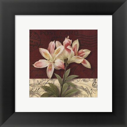 Framed Postcard Lily Print