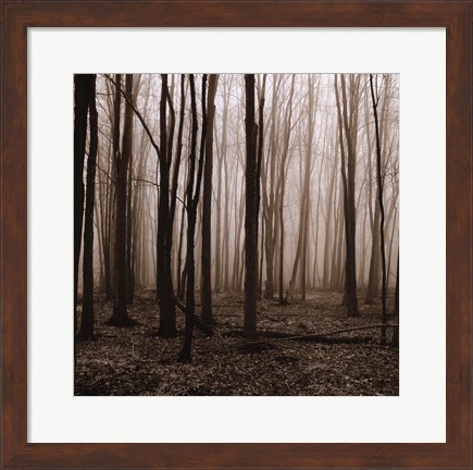 Framed Winter Woods Print