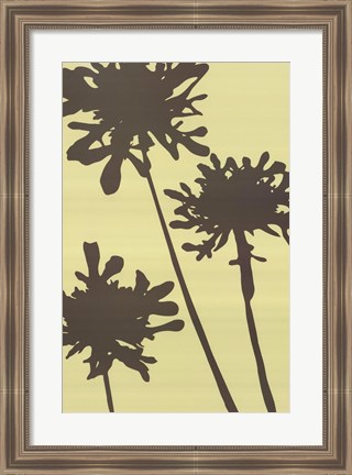 Framed Pompom Brule (reverse) Print