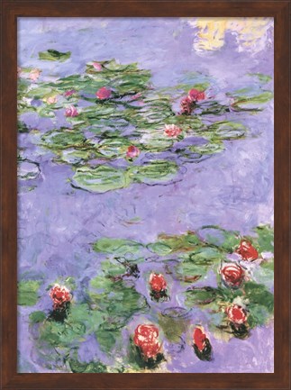 Framed Water Lilies, c. 1914-1917 Print