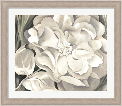 Framed White Calico Flower, 1931 Print