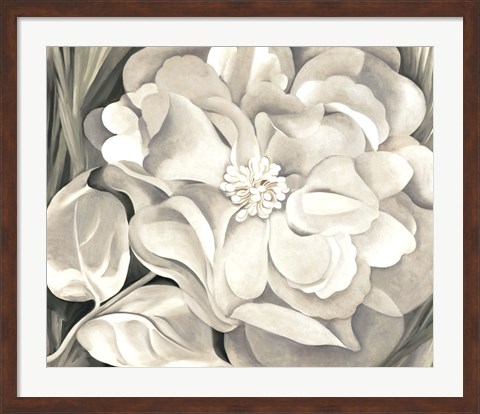 Framed White Calico Flower, 1931 Print