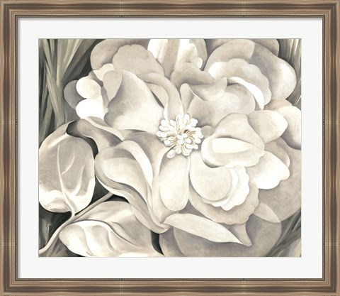 Framed White Calico Flower, 1931 Print