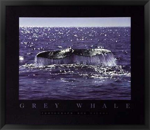 Framed Whale Tale Print