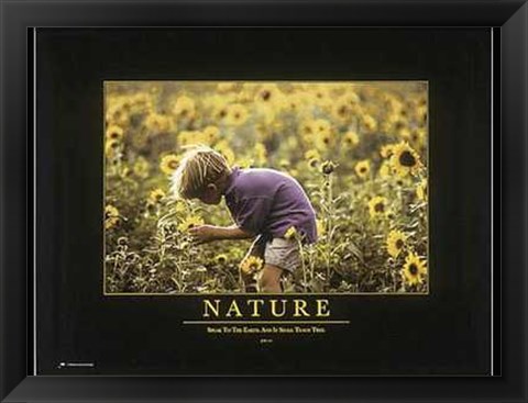 Framed Nature Print