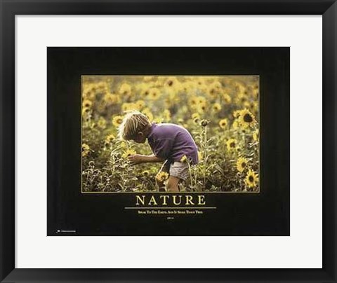 Framed Nature Print