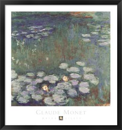 Framed Water Lilies Print