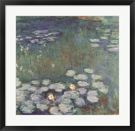 Framed Water Lilies Print