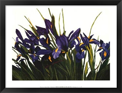 Framed Wild Iris Print