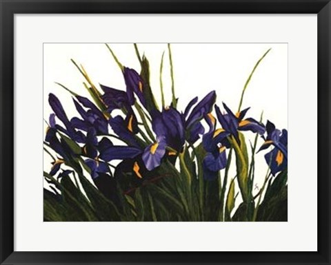 Framed Wild Iris Print