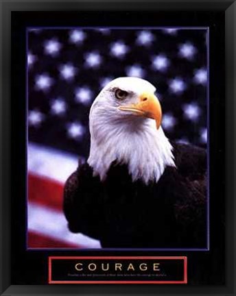 Framed Courage - Eagle Flag Print