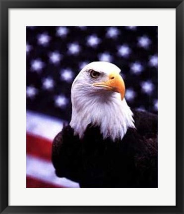 Framed Courage - Eagle Flag Print