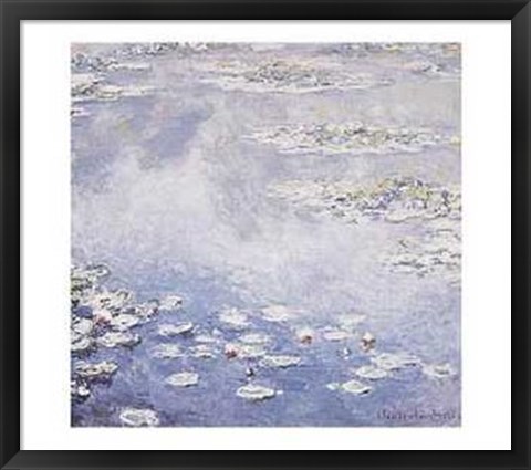 Framed Waterlilies Print