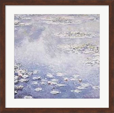 Framed Waterlilies Print