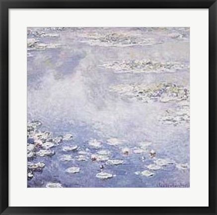 Framed Waterlilies Print