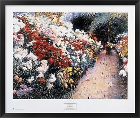 Framed Chrysanthemums Print