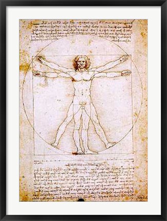 Framed Human Proportions-Vitruvian Man Print