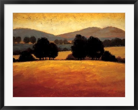 Framed Santa Ynez II Print