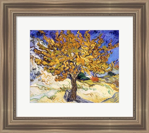 Framed Mulberry Tree in Autumn, c.1889 Print