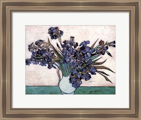 Framed Irises in Vase, c.1890 Print