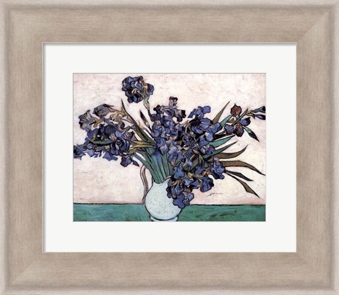 Framed Irises in Vase, c.1890 Print