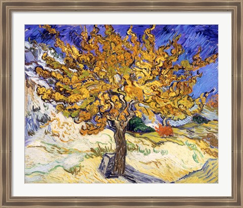 Framed Mulberry Tree in Autumn, c.1889 Print