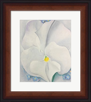 Framed White Pansy Print