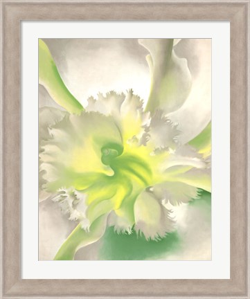 Framed Orchid Print