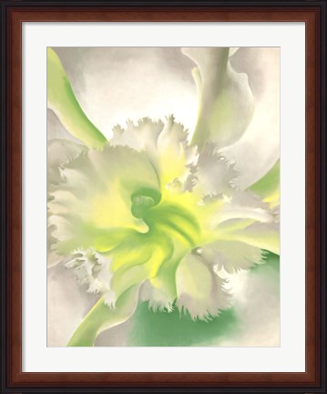 Framed Orchid Print