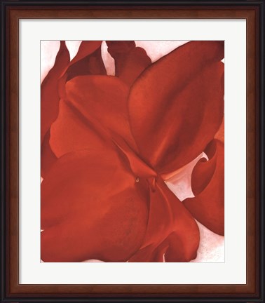 Framed Red Cannas Print