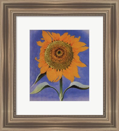Framed Sunflower, New Mexico, 1935 Print
