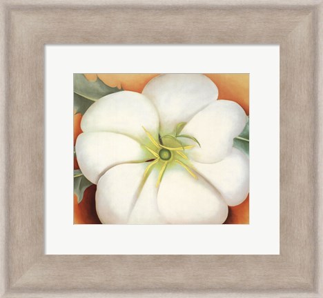 Framed White Flower on Red Earth, No. 1 Print