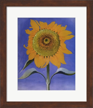 Framed Sunflower, New Mexico, 1935 Print