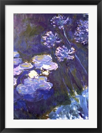 Framed Water Lilies and Agapanthus, 1914-1917 Print