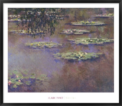 Framed Water Lilies, 1903 Print