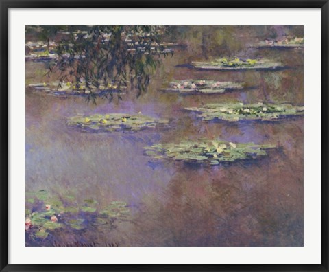 Framed Water Lilies, 1903 Print